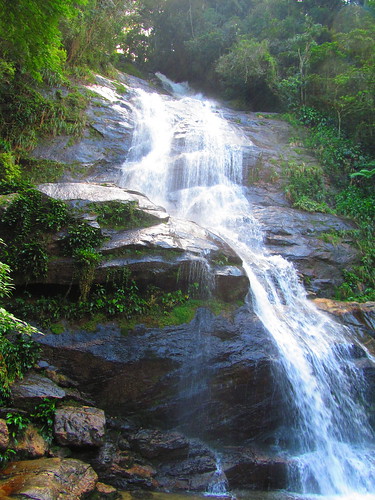 Rio-de-Janeyrodan Tijuca Yağış Meşəsi Cip Turu